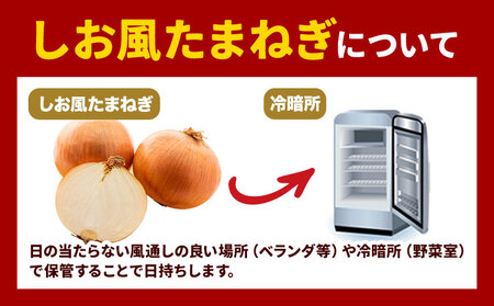 しお風玉ねぎ 約2kg　たまねぎ 玉ねぎ