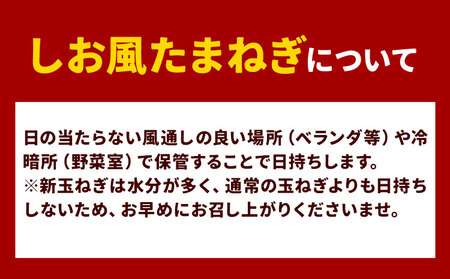 しお風新玉ねぎ 約5kg　たまねぎ 玉ねぎ
