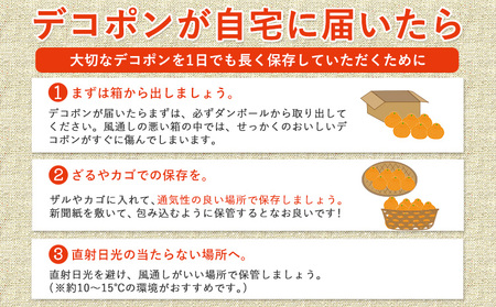 デコポン約1.8kg 露地デコポン