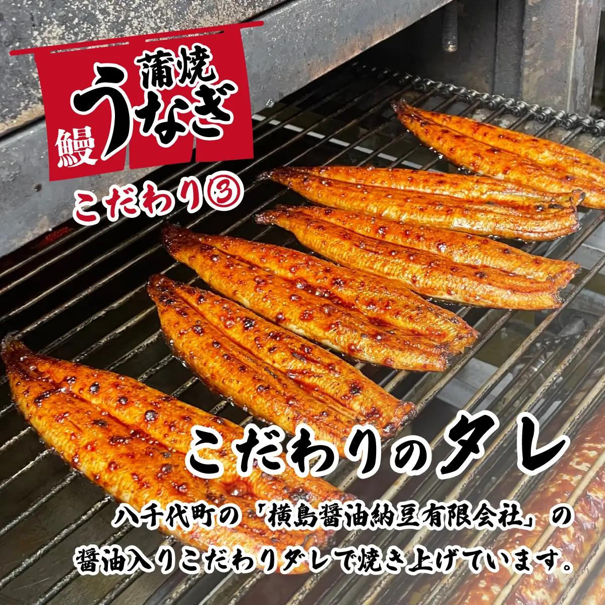 うなぎ 国産 特上 ウなぎ 蒲焼き 2尾 570g ウナギ 