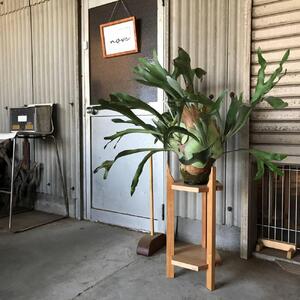 【ロクカクカダイ：正六角形の3辺を支柱が支える構造の花台(プランタースタンド)】花台 植木鉢 フラワースタンド プランタースタンド サイドテーブル ナイトテーブル チェリー nove