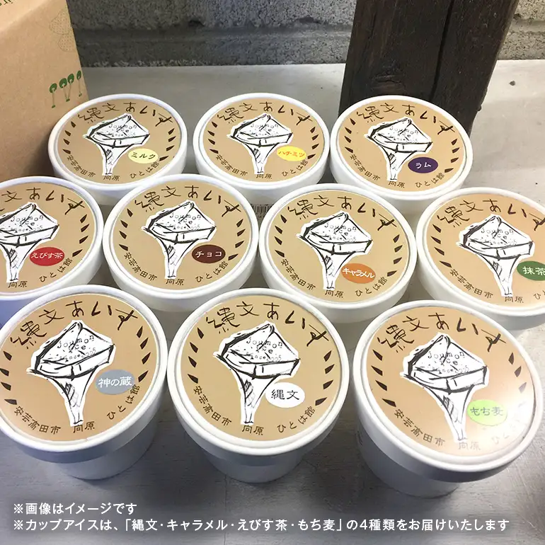 縄文あいす 4個 & 縄文あいすもなか 6個 セット アイス アイスクリーム 最中 広島 安芸高田市