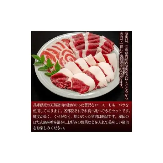 ボタン鍋セット 3～4人前（500g）猪肉（ロース・モモ・バラ）自家製味噌付き