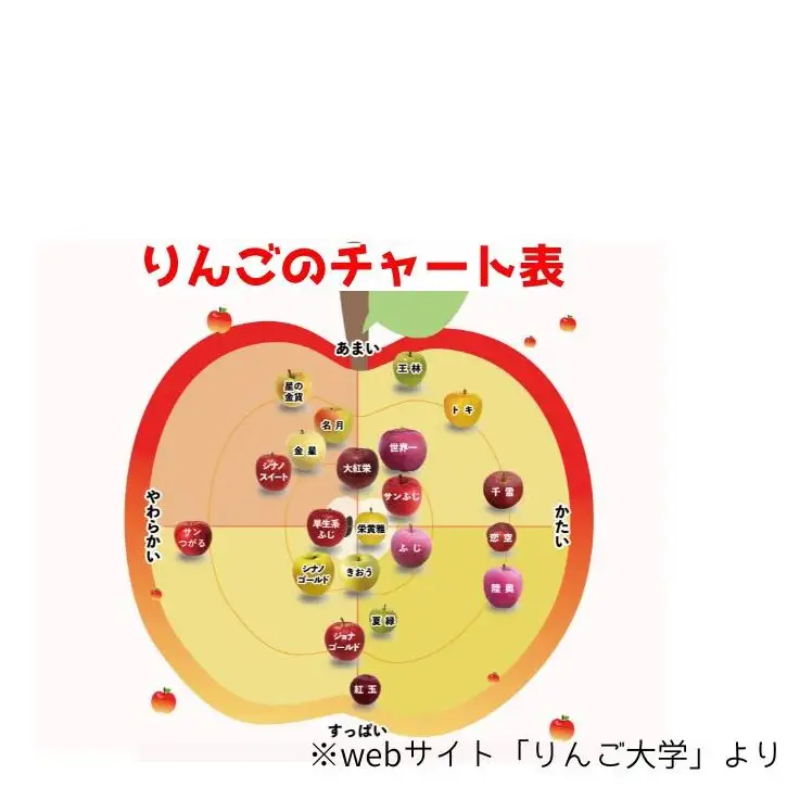 りんご 【1月発送】 家庭用 旬のりんご 品種おまかせ 約 5kg 2品種～4品種　リンゴ 林檎 青森りんご アップル おまかせ ランダム フルーツ 果物 デザート 旬 季節限定 産地直送 青森県産 青森県 西目屋村