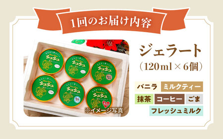 【3回定期便】シュシュ 定番ジェラート6個セット / アイス アイスクリーム ジェラート スイーツ /  大村市 / おおむら夢ファームシュシュ [ACAA406]