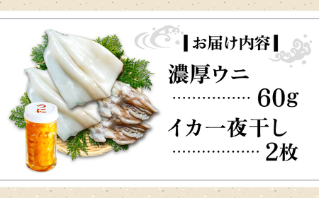 【お中元】季節のイカ一夜干し2枚＋生ウニ60g 《壱岐市》【合同会社塚元】 [JDR025] ウニ イカ セット
