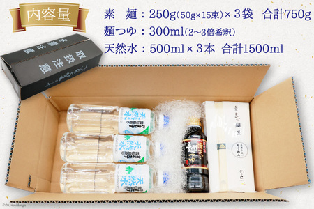 AI195 島原手延べ素麺 セット 素麺 5束×3袋 麺つゆ 300ml 湧水 500ml×3本 [長崎県 島原市]