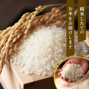 【特Aランク】令和7年 北海道産ゆめぴりか・ななつぼし食べ比べセット 10kg | ゆめぴりか _04809