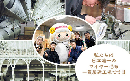 泉大津製 無着色 オーガニック コットン マイヤー毛布(毛羽部分) ダブル | 毛布