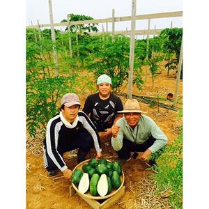 モリンガ鬱金（粒）3袋 セット