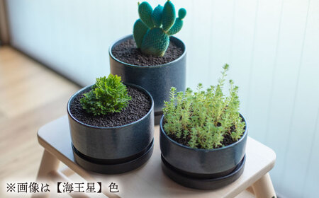 【美濃焼】プラネットプランター 地球 (小)1セット【竜山窯】植物 植木 陶器[MFR007]