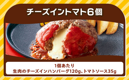 ジョイフル ハンバーグ 6個( チーズイン + トマトソース ) [ABAA073] 