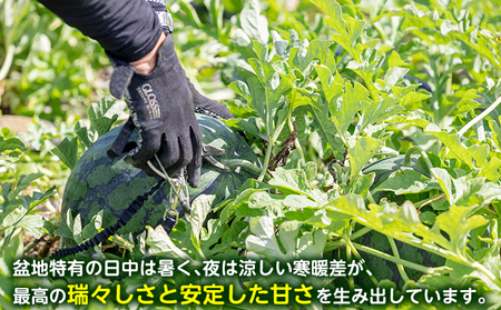 【2026年夏発送】（数量限定）黒こだまスイカ 1玉＋ひとりじめスイカ1玉セット 北海道 富良野産 すいか 西瓜   夏 フルーツ ふらの 甘い 糖度 大玉 ギフト (畠山農園）