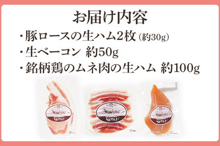 【ふるなびWEEK対象】生ハム三種セット 生ハム うえすたん セット 食べ比べ 詰め合わせ 福岡県 志免町