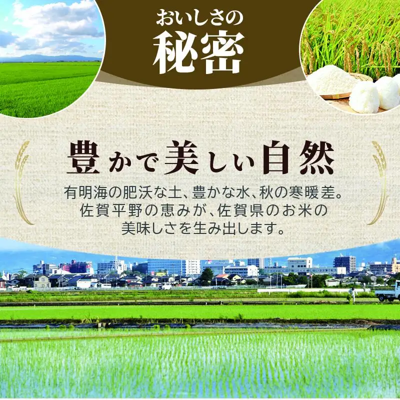 ≪ 定期便 6回 計 18kg ≫ 令和7年産 無洗米 18kg ( 3kg × 6回 ) さがびより 佐賀県産 特A お米 こめ コメ 白米 五つ星 お米マイスター厳選 弁当