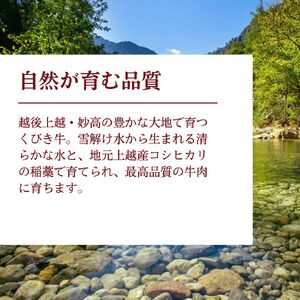【プロも高評価！】【くびき牛】 牛肉 切り落とし 500g 国産 ブランド牛 新潟県産 上越市 深雪の郷・くびき牛