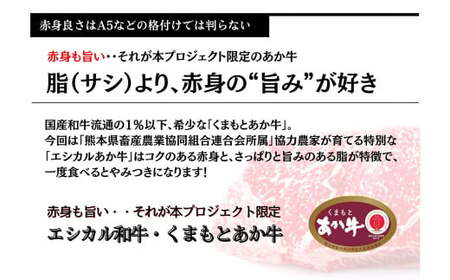 【エシカル和牛】あか牛の極み・人気部位食べ比べセット 計約1kg 食べ比べ セット 赤牛 焼き肉  鉄板焼き 焼きしゃぶ