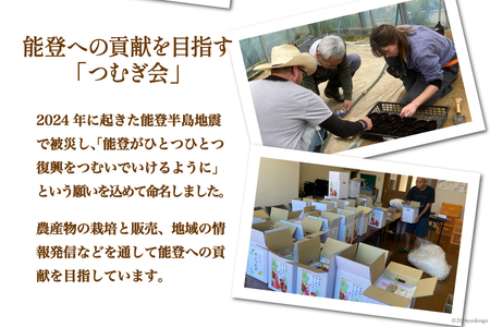 【期間限定】 大玉 赤肉 メロン 能登産 のとつむぎ 約2.3kg以上 [つむぎ会 石川県 中能登町 27ag0021]