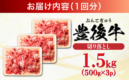 【全12回定期便】【たっぷり大満足！】おおいた豊後牛 牛肉 切り落とし 1.5kg (500g×3) 牛肉切り落とし 豊後牛 [AREI052]
