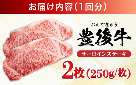 【全3回定期便】おおいた豊後牛 サーロインステーキ 500g (250g×2枚)  サーロインステーキ[AREI056]