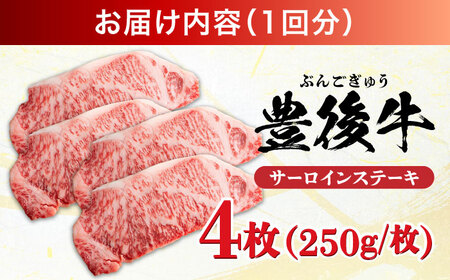 【全12回定期便】おおいた豊後牛 サーロインステーキ 1kg (250g×4枚) サーロインステーキ[AREI061]