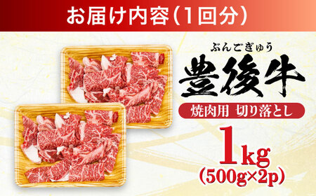 【全12回定期便】【訳あり】おおいた豊後牛 焼肉 切り落とし 1kg(500g×2P)  豊後牛 牛肉 焼肉 切り落とし 大分 冷凍 訳あり  [AREI136]