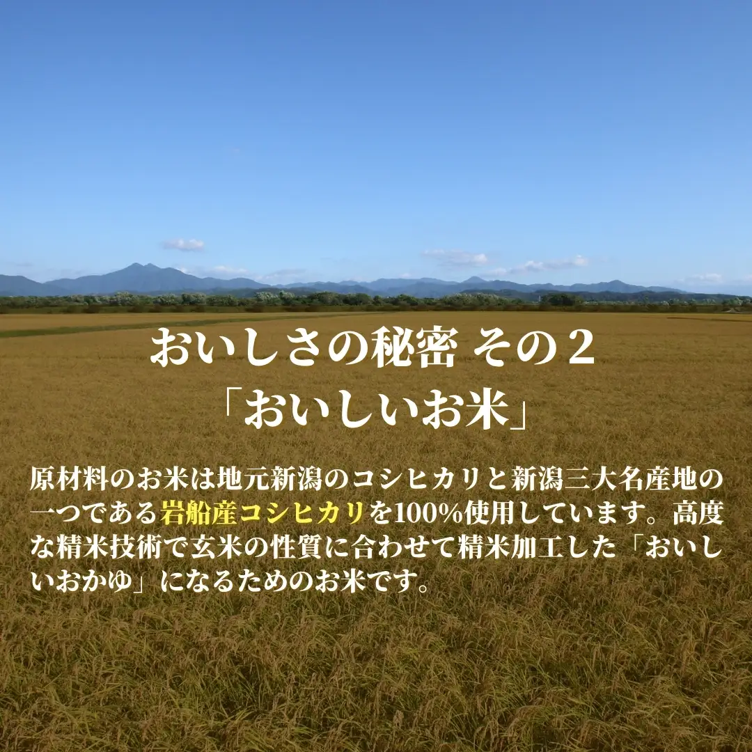 おかゆ 湯葉がゆ（250g×10個入）| おかゆ お粥 防災