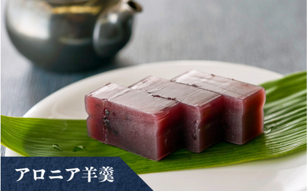 羊羹3種 詰め合わせ (アロニア キウイ コーヒー) | 羊羹 ようかん