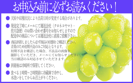 2026年予約受付中 シャインマスカット晴王 7月～8月出荷 2房 約1.4kg  人気 岡山県産 種無し 皮ごと食べる みずみずしい  フレッシュ 晴れの国 おかやま 果物大国 ハレノフルーツ