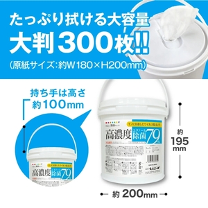 ウェットティッシュ バケツタイプ 本体 300枚 1個 高濃度エタノール除菌79％ ウェットティッシュ 日用品 日用品