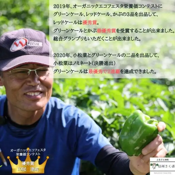 玄米と野菜の無添加レトルトスープ3種　6個入り(かぼちゃ・じゃがいも・にんじん　各2個)［NK-104］
