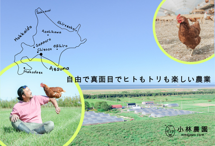 【2ヵ月定期便】平飼い有精卵 50個 計100個【冷蔵便】たまご 玉子 生 冷蔵 [AXAN089]