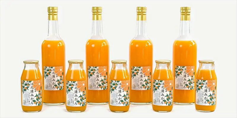 【定期便 （2カ月ごと全4回）】小田原産江之浦みかん１００％ストレートジュース１８０ml３０本【みかんジュース みかんジュース 神奈川県 小田原市 】