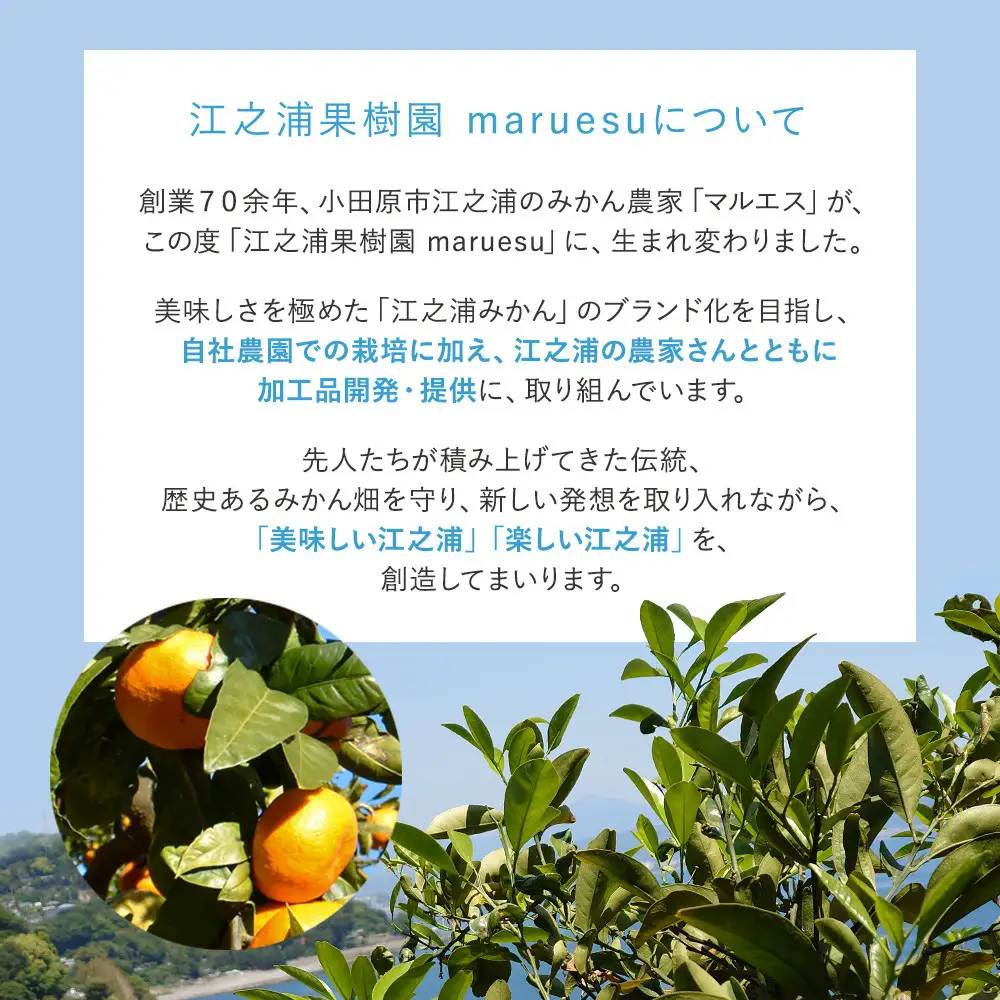 小田原 片浦レモンハンドクリーム３個【ハンドクリーム ハンドクリーム 神奈川県 小田原市 】