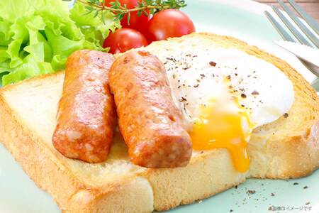 定期便 モーニングサーブ 標準96本 (160g 12袋 計1.92kg) 3回 総計5.76kg [ 日本ハム マーケティング 静岡県 吉田町 22424406]