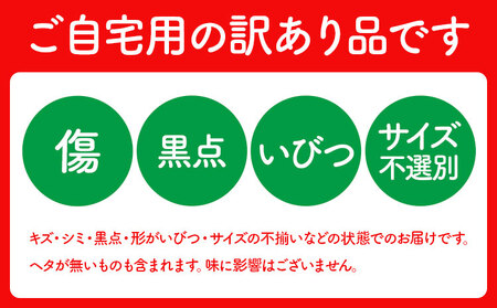 【先行予約】メロン 訳ありメロン 品種おまかせ 約4kg 2-7玉 ランダム 株式会社Foody’s 食彩たかみ《2026年5月下旬-7月下旬頃出荷》 おまかせ ご家庭用 メロン フルーツ 菊池市産 熊本県産 九州産 冷蔵 送料無料