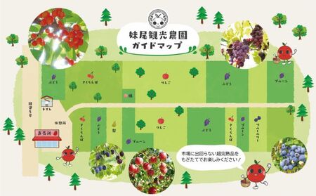 妹尾観光農園 フルーツ狩りチケット2000円 割引 チケット クーポン 利用券 フルーツ 旅行 体験 農園 北海道 仁木町 [フルーツショップ妹尾観光農園]