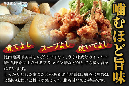 【定期便5ヶ月】比内地鶏 手羽もと 5kg(1kg×5袋) 5kg 国産 冷凍 鶏肉 鳥肉 とり肉