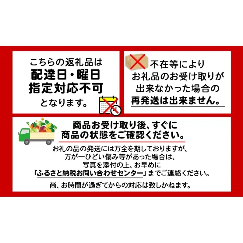 北海道 赤肉メロン 大玉 約2kg 1玉 メロン 赤肉 果物 フルーツ 甘い 完熟 スイーツ デザート 産直 国産 贈答品 お祝いギフト羊蹄山 JAようてい