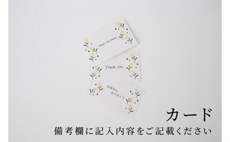 メッセージカード付/箱入りセット-子栄丸の佃煮詰合せお楽しみセット お酒のおつまみ お惣菜 佃煮 串焼き はまぐり あさり 炊込みご飯の素 詰合せ 市原市 千葉県