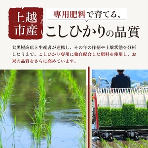 【最短3日発送】令和7年産 新潟県上越市産 コシヒカリ 5kg 精米 無洗米 五つ星お米マイスター