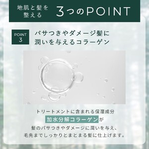 ナイトシャンプー＆トリートメントセット 各300mL｜ヘアケア 美髪 酒粕エキス配合 天然成分 美容｜人気 おすすめ 送料無料｜神奈川県 横浜市 AMV0001