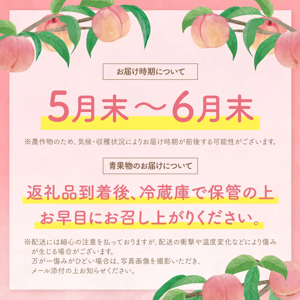 Y20-04 【2026年発送】《予約受付》 ハウス桃 さくひめ 2kg もも