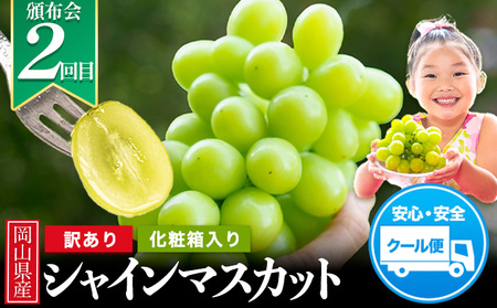 おためし 人気くだもの定期便 フルーツ定期便