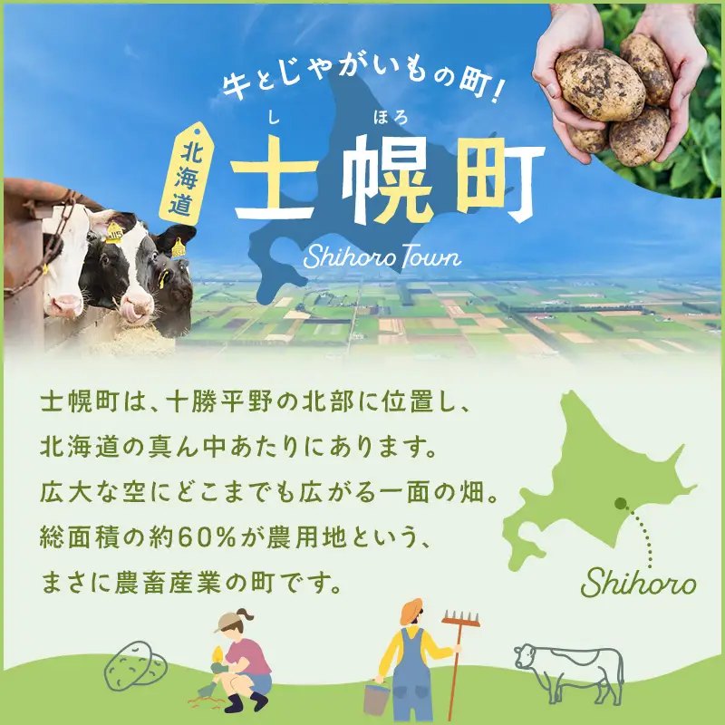 【北海道士幌町】生産者還元用ポテトチップス２箱セット（のり塩味）お菓子 菓子 おやつ ポテチ ぽてち スナック おつまみ じゃがいも ジャガイモ 送料無料 北海道 十勝【N01-04】