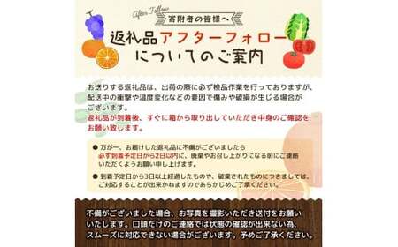 青梅 訳あり 南高梅 5kg+250g（痛み補償分） / 梅 梅ジュース 梅酒 梅干し 家庭用 和歌山 ※5月~6月発送予定 ※北海道・沖縄・離島への配送不可【ikd508-c-5H】