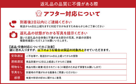 いちご みおしずく ２箱４パック入り 株式会社東近江あぐりステーション 滋賀県 東近江市 A-B26 いちご イチゴ 苺 みおしずく 滋賀県 東近江市 産地直送 章姫 かおり野 フルーツ 果物 スイーツ 大容量 まとめ買い ２箱 ４パック 香り 芳醇 お礼の品 寄付