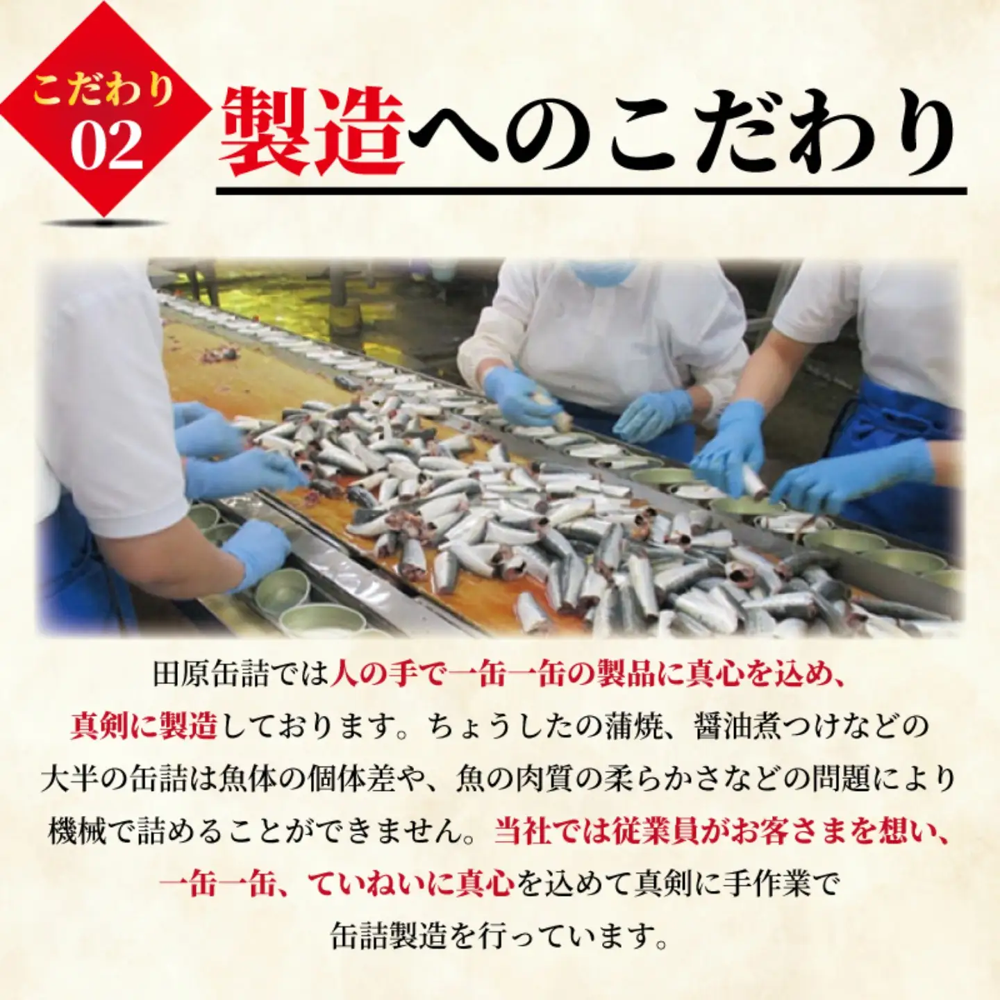 【 缶詰 】 さんま蒲焼 60個 | 缶詰