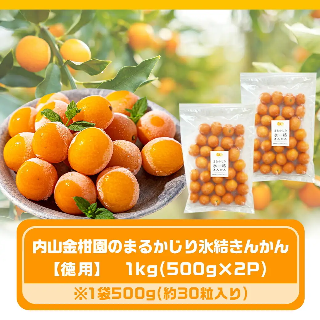 【徳用】内山金柑園のまるかじり氷結きんかん1kg(500g×2P)〔12-J702〕_(都城市) 果物 急速冷凍 完熟きんかん 糖度16％以上 スイーツ おやつ 冷凍きんかん