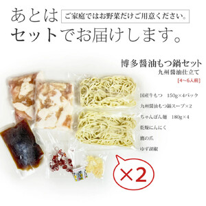博多もつ鍋セット(九州醤油仕立て)国産牛もつ 600g 4～6人前 B093R